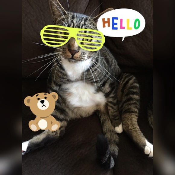 Meet your Posher, Brigette - Picture 2 of 5